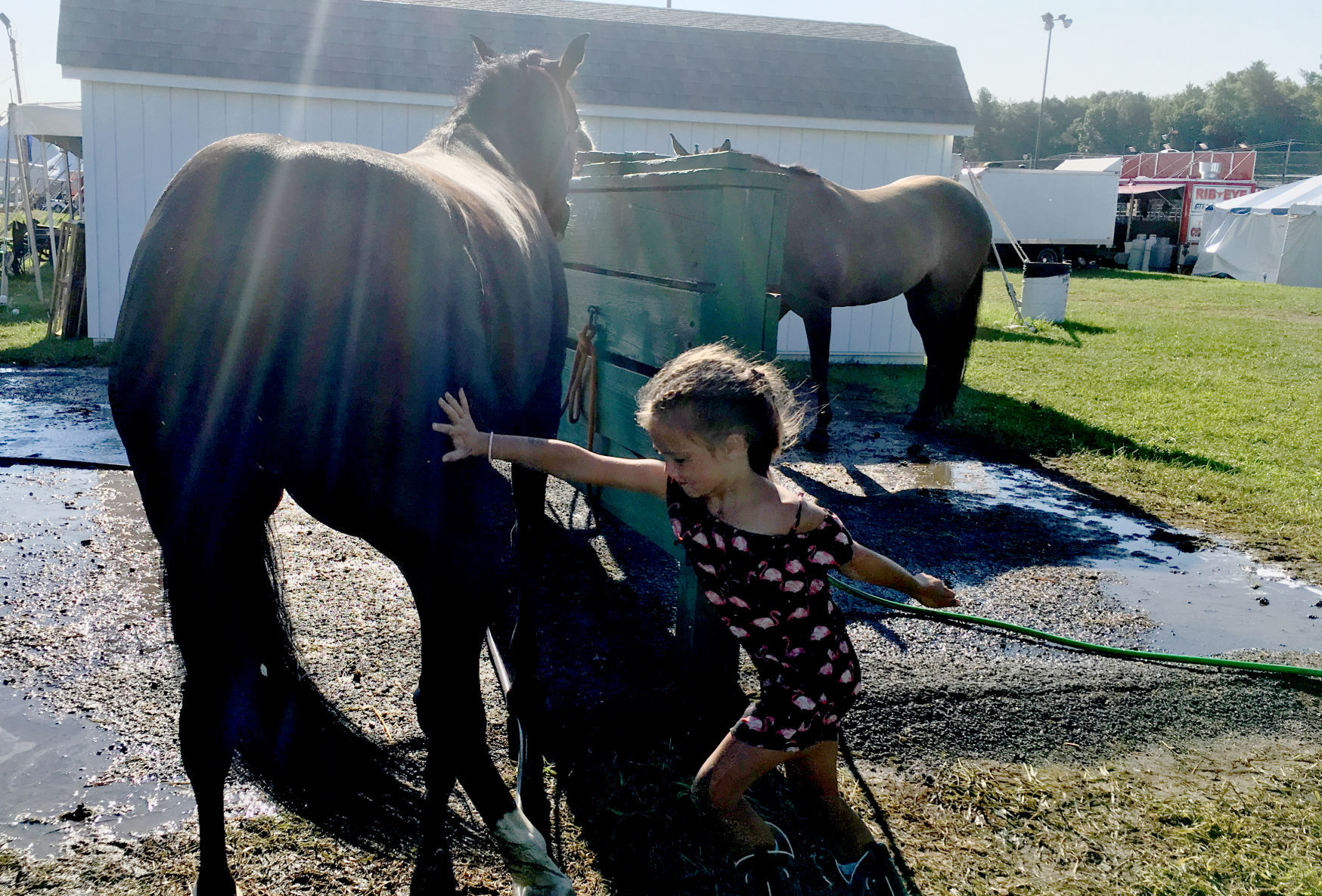 Early morning at the Washington County Fair